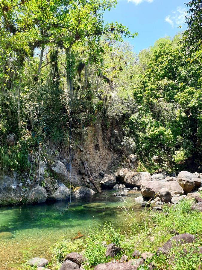 Gite 4 Etoiles, La Vieille Sucrerie St Claude Guadeloupe, Jacuzzi Spa Privatif, Vue Exceptionnelle Sur La Mer Des Caraibes Basse-Terre Ngoại thất bức ảnh