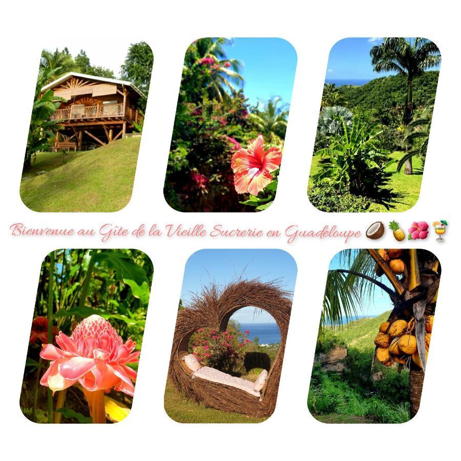 Gite 4 Etoiles, La Vieille Sucrerie St Claude Guadeloupe, Jacuzzi Spa Privatif, Vue Exceptionnelle Sur La Mer Des Caraibes Basse-Terre Ngoại thất bức ảnh