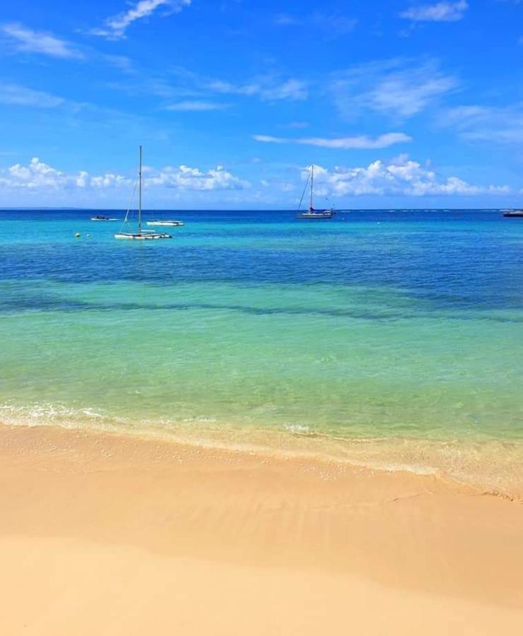 Gite 4 Etoiles, La Vieille Sucrerie St Claude Guadeloupe, Jacuzzi Spa Privatif, Vue Exceptionnelle Sur La Mer Des Caraibes Basse-Terre Ngoại thất bức ảnh