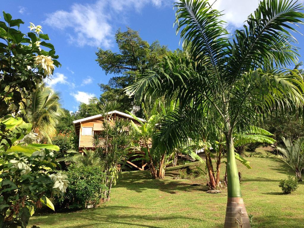 Gite 4 Etoiles, La Vieille Sucrerie St Claude Guadeloupe, Jacuzzi Spa Privatif, Vue Exceptionnelle Sur La Mer Des Caraibes Basse-Terre Ngoại thất bức ảnh